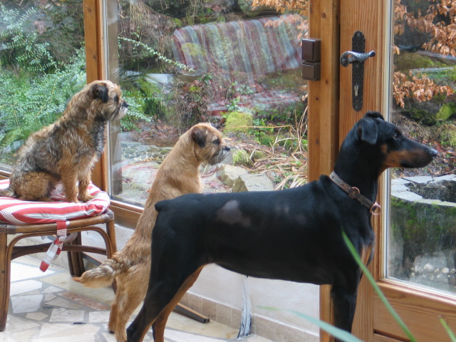 Tessi, Meisje und Chelsea