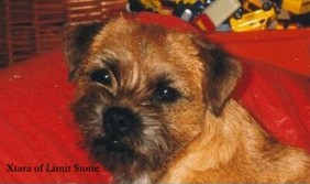 Xtara of Limit Stone